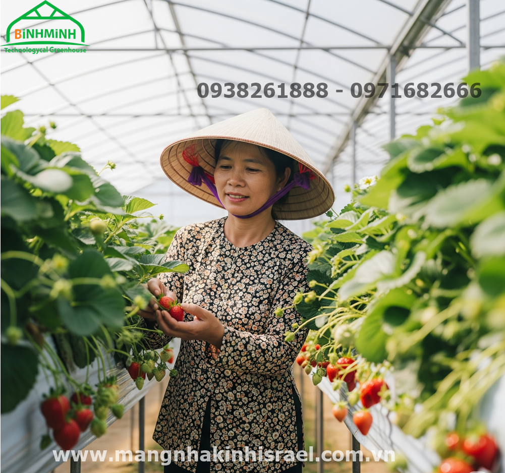 Hướng Dẫn Lắp Đặt Màng Nhà Kính Đúng Chuẩn: 4 Bước Giúp Kéo Dài Tuổi Thọ Công Trình
