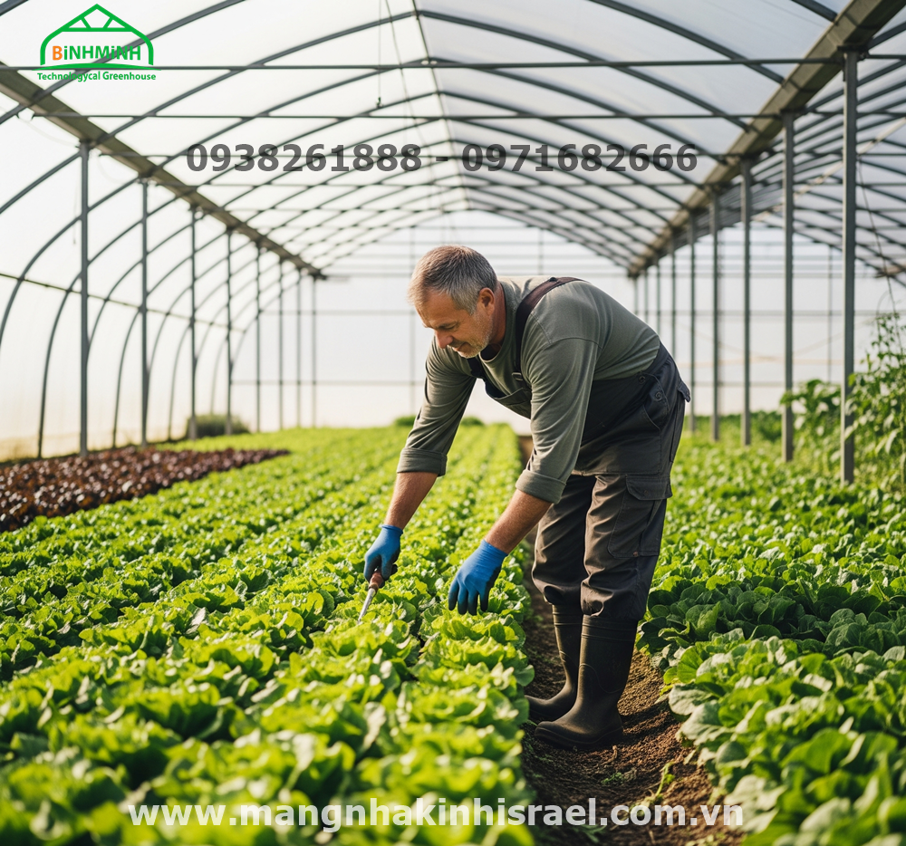 Hướng Dẫn Lắp Đặt Màng Nhà Kính Đúng Chuẩn: 4 Bước Giúp Kéo Dài Tuổi Thọ Công Trình 5 Hướng Dẫn Lắp Đặt Màng Nhà Kính Đúng Chuẩn: 4 Bước Giúp Kéo Dài Tuổi Thọ Công Trình