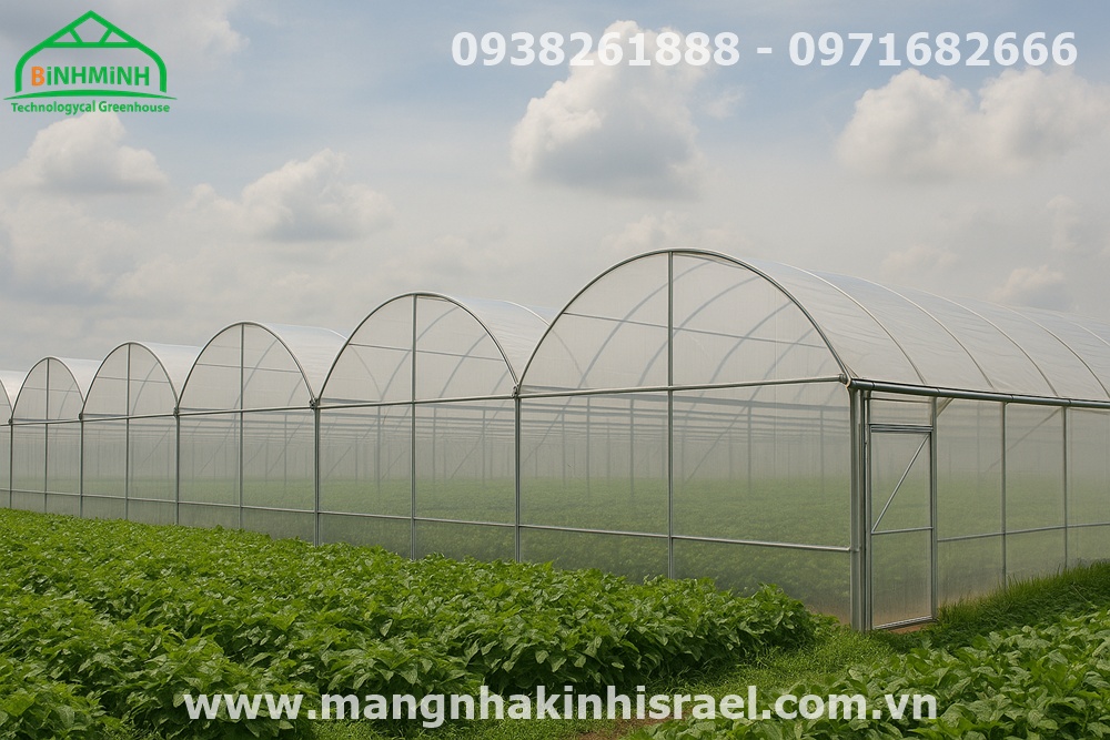 Màng Nhà Kính - Chìa Khóa Nâng Tầm Nông Sản Việt Nam Vươn Ra Thế Giới