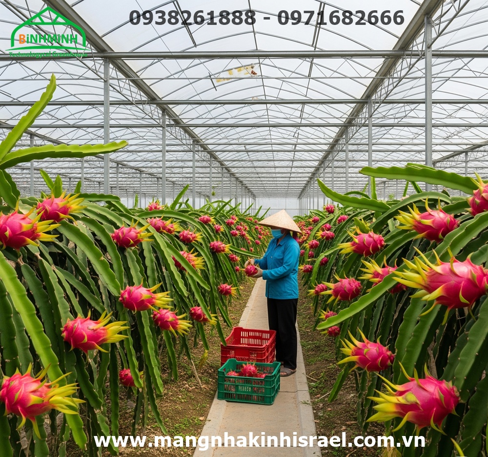 Màng Nhà Kính - Chìa Khóa Nâng Tầm Nông Sản Việt Nam Vươn Ra Thế Giới 2 Màng Nhà Kính - Nông Nghiệp Xuất Khẩu