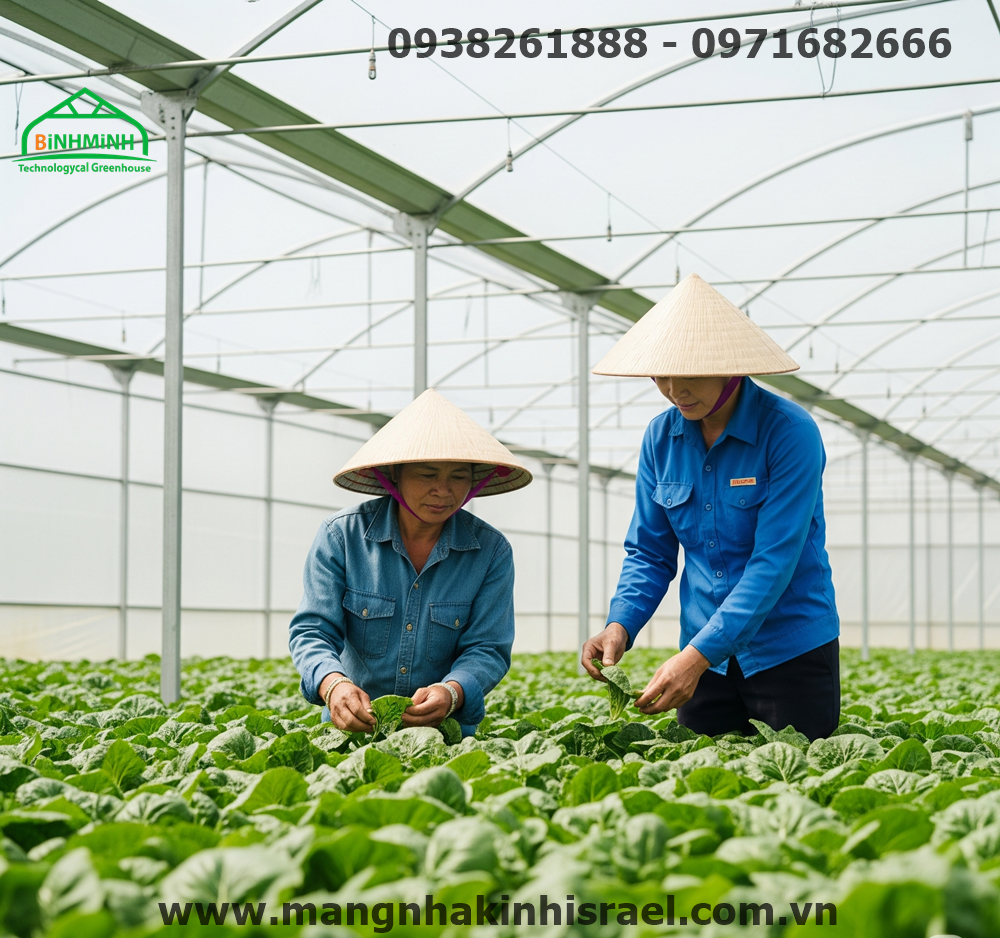Màng Nhà Kính: Giải Pháp Bền Vững Cho Nông Nghiệp Việt Nam Giữa "Cơn Bão" Biến Đổi Khí Hậu 4 Màng Nhà Kính: Giải Pháp Bền Vững Cho Nông Nghiệp Việt Nam Giữa "Cơn Bão" Biến Đổi Khí Hậu