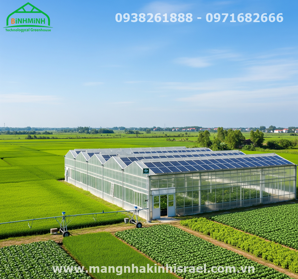 Màng Nhà Kính: Khi Người Nông Dân Việt Quyết Định Làm Mới Chính Mình