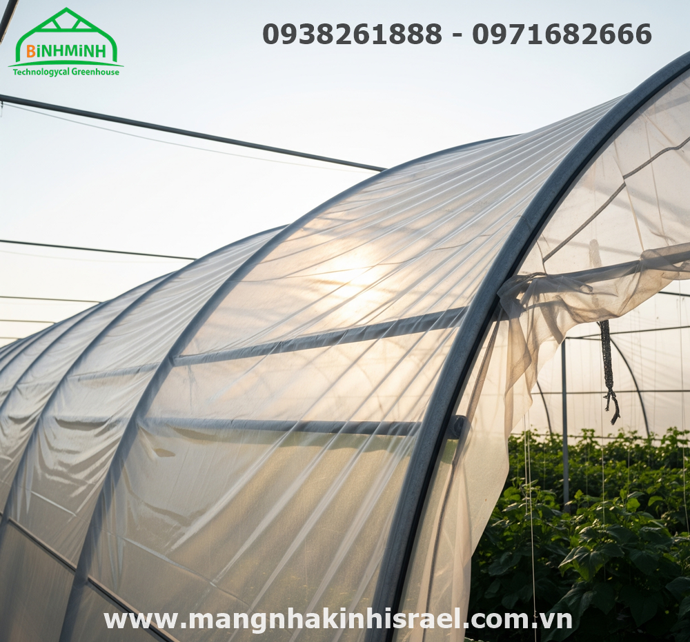 Màng Nhà Kính - "Chìa Khóa Vàng" Mở Lối Nông Nghiệp Tương Lai Với Công Nghệ Aquaponics