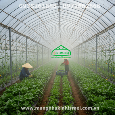 Bạt Nhà Kính Politiv Israel: Đầu Tư Thông Minh Của Nông Dân, An Tâm Cho Mọi Bữa Ăn Gia Đình