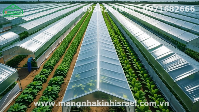 Bạt Nhà Kính Politiv Israel: Đầu Tư Thông Minh Của Nông Dân, An Tâm Cho Mọi Bữa Ăn Gia Đình