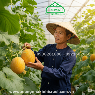 Hướng Dẫn Lắp Đặt Màng Nhà Kính Đúng Chuẩn: 4 Bước Giúp Kéo Dài Tuổi Thọ Công Trình