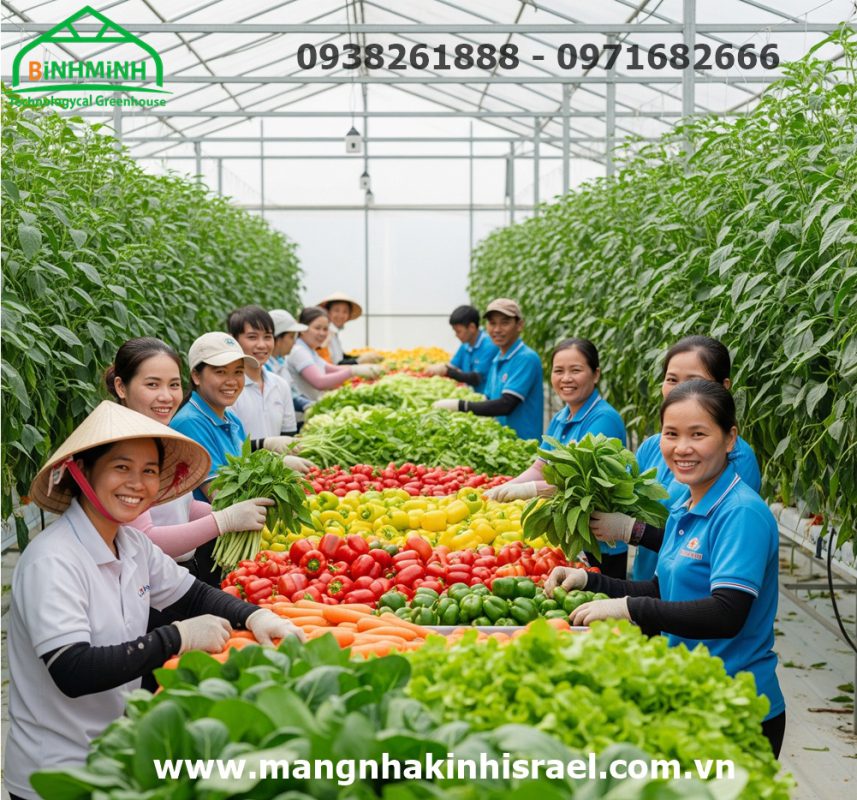 Màng Nhà Kính - Chìa Khóa Nâng Tầm Nông Sản Việt Nam Vươn Ra Thế Giới