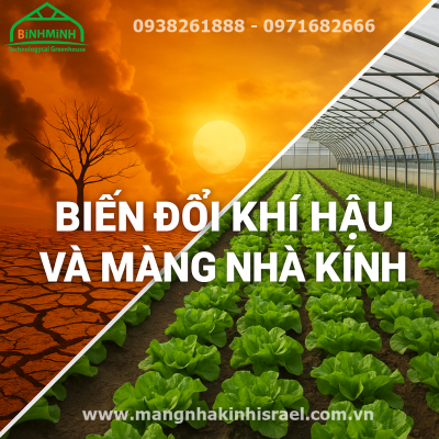 Màng Nhà Kính: Giải Pháp Bền Vững Cho Nông Nghiệp Việt Nam Giữa "Cơn Bão" Biến Đổi Khí Hậu