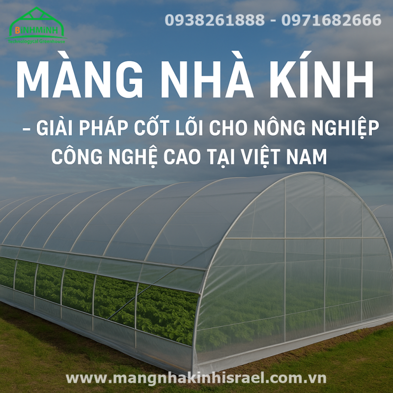 Màng Nhà Kính: Khi Người Nông Dân Việt Quyết Định Làm Mới Chính Mình