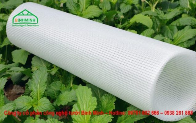 Luoi chan con trung Politiv Israel 2 15m x 50m 768x483 1